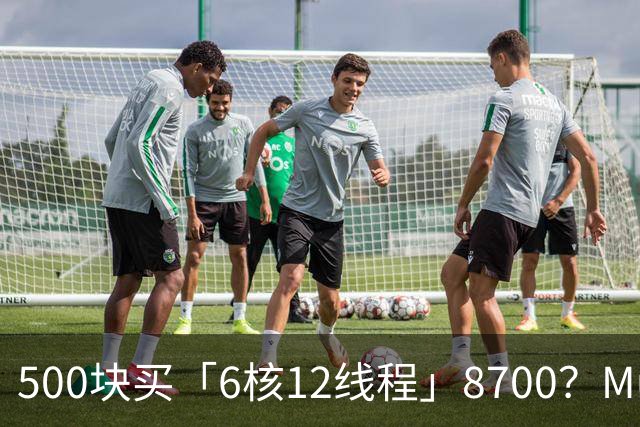 500块买「6核12线程」8700？Muse测评：核显是糖衣，平台是炮弹